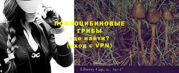 герыч Алзамай