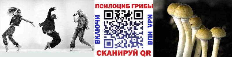 Галлюциногенные грибы MAGIC MUSHROOMS  купить наркотик  Кондопога 